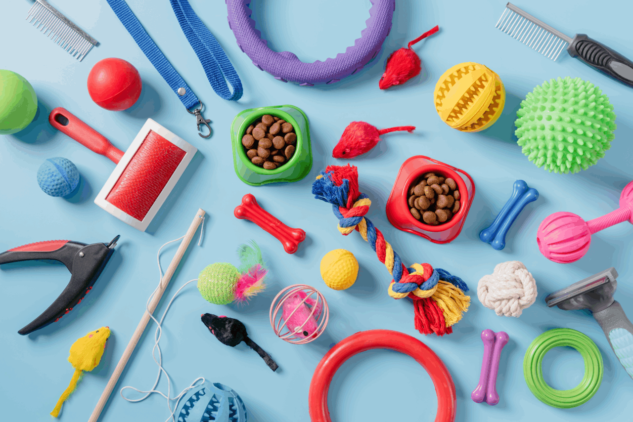 collection-of-colorful-pet-toys-and-supplies-overh-2026-01-09-06-38-36-utc
